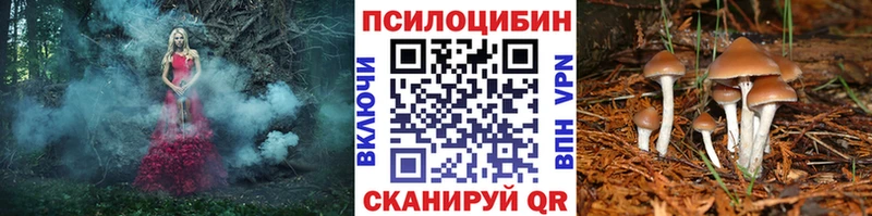 Псилоцибиновые грибы мицелий Нефтекумск